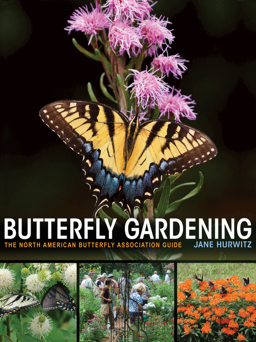 Cover image for Butterfly Gardening